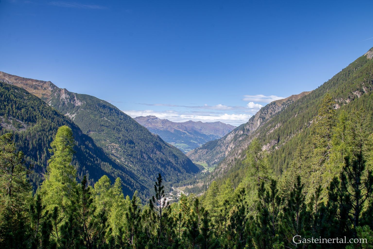 <kt26_dsc_3586.jpg