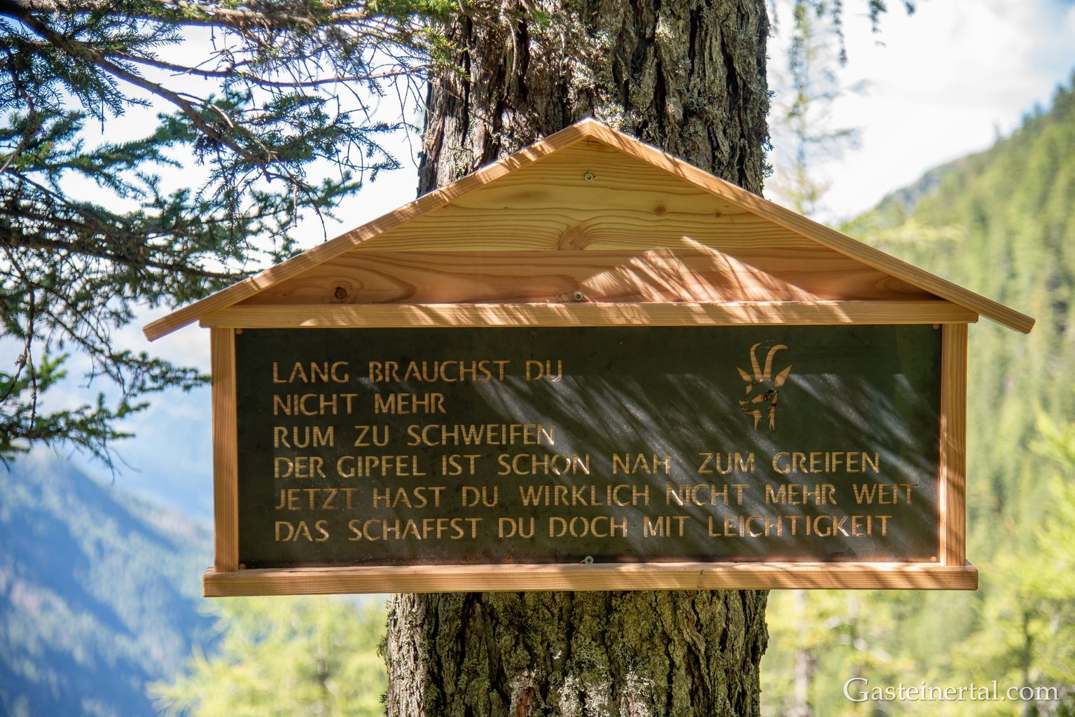 <kt26_dsc_3588.jpg