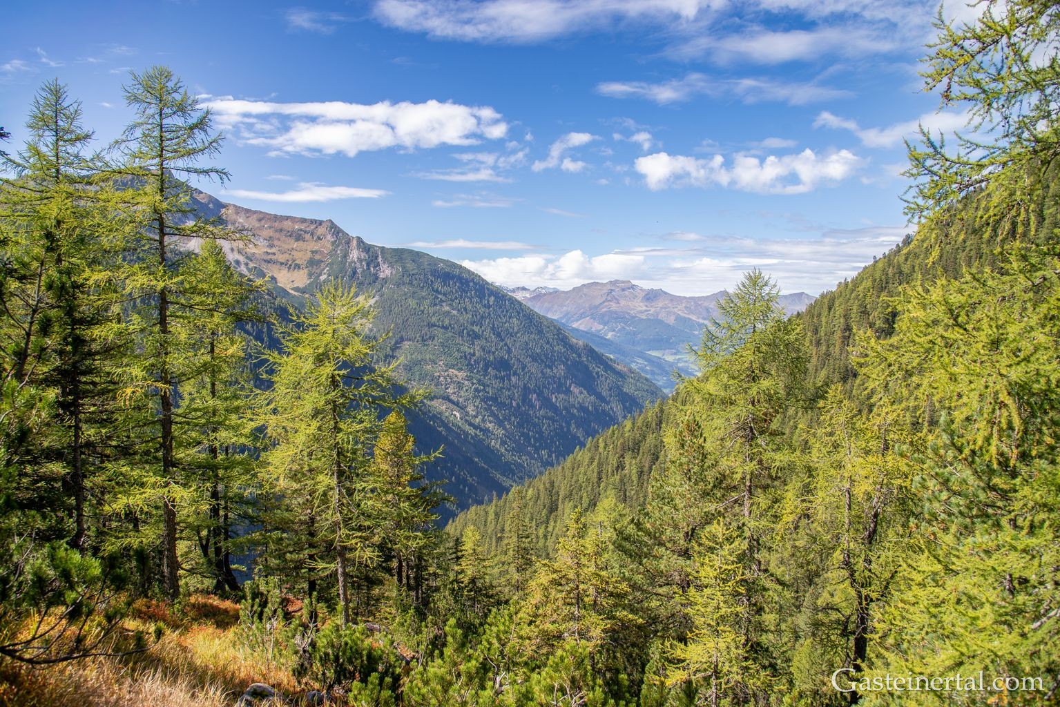 <kt26_dsc_3590.jpg