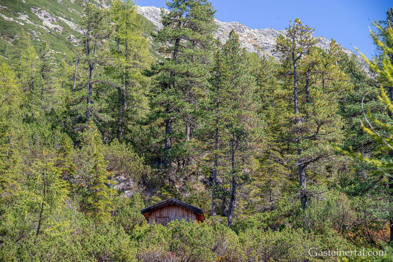<kt26_dsc_3591.jpg