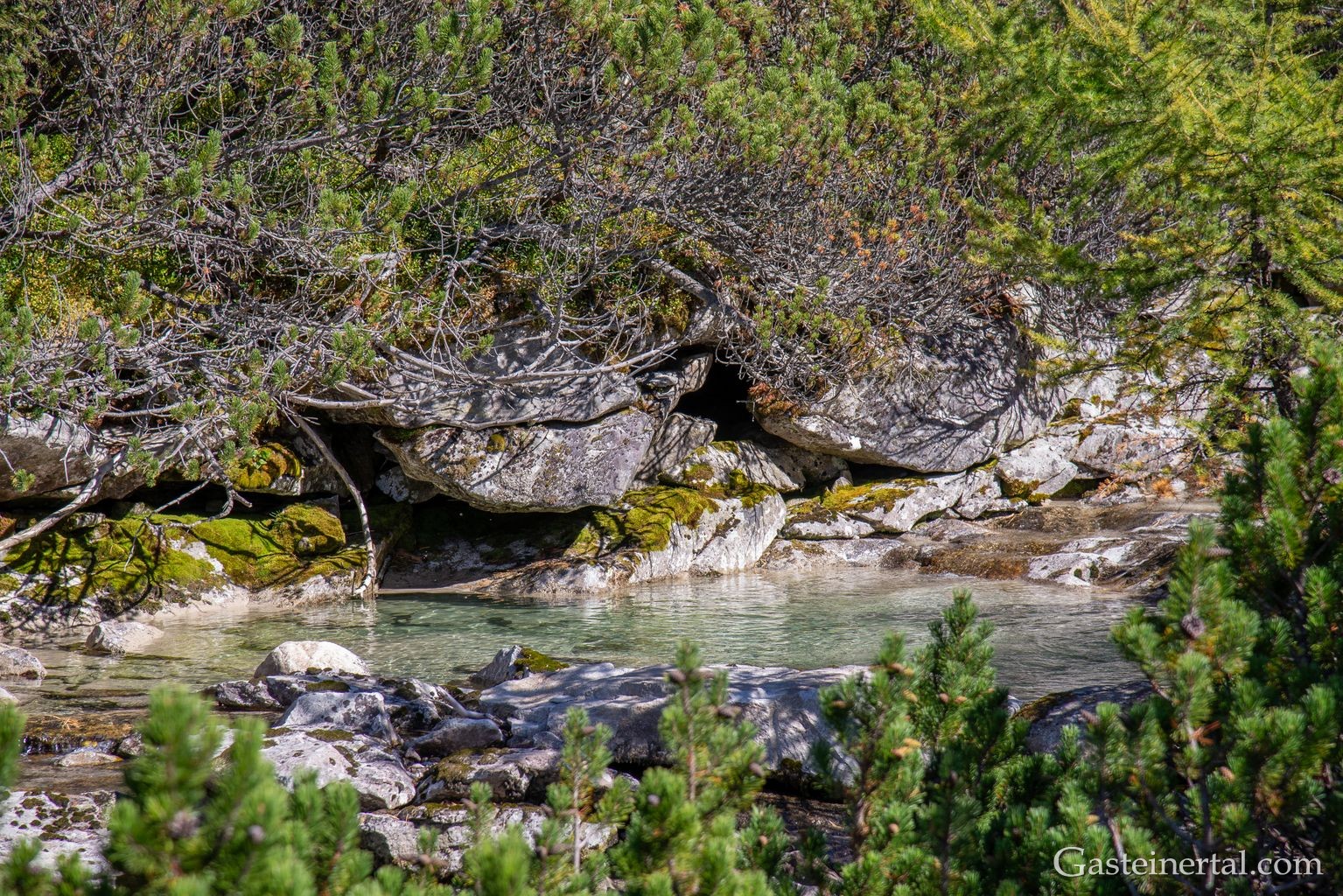 <kt26_dsc_3593.jpg