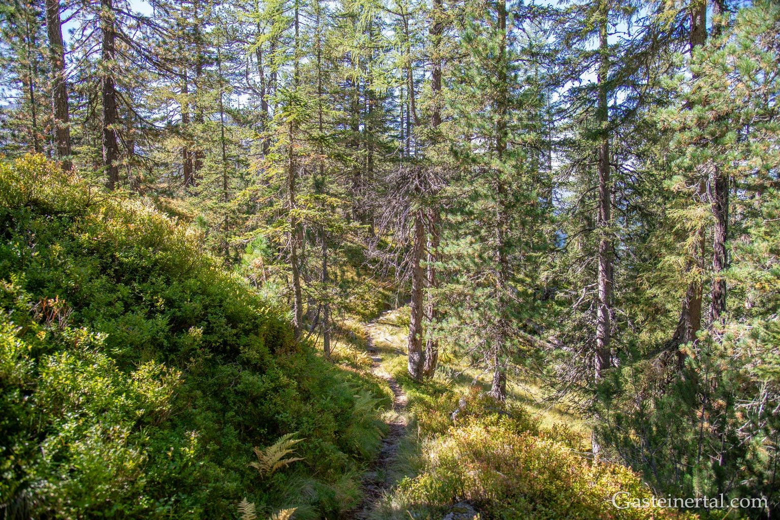 <kt26_dsc_3596.jpg