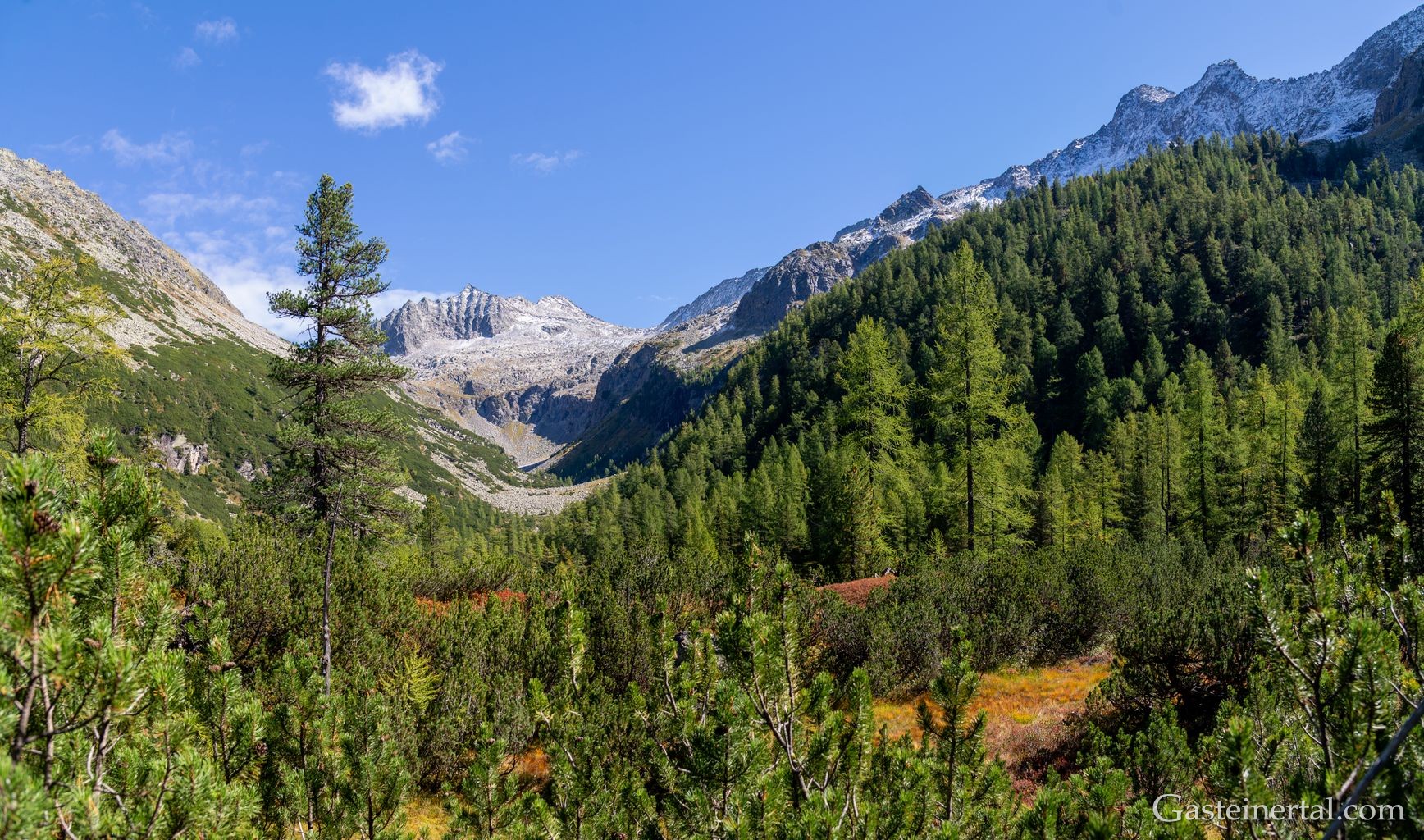 <kt26_dsc_3597wd.jpg