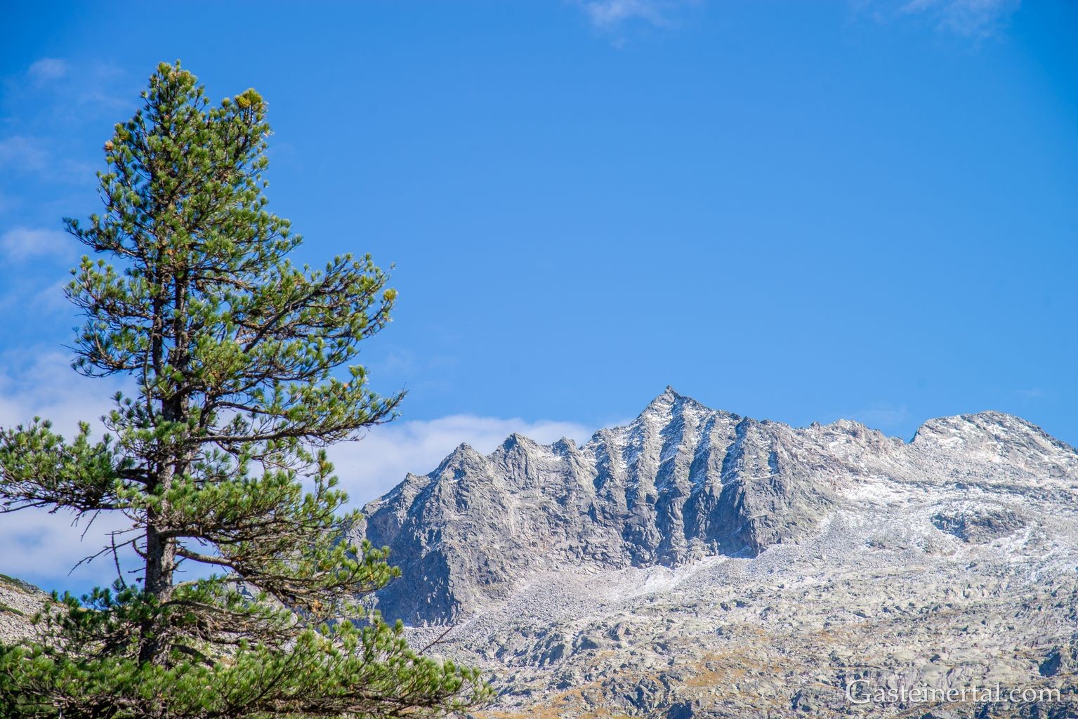 <kt26_dsc_3599.jpg