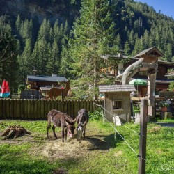 Himmelwandhütte