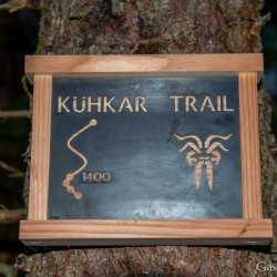 kt26_dsc_3562.jpg
