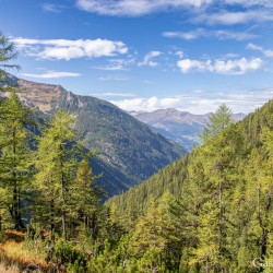 kt26_dsc_3590.jpg