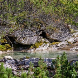 kt26_dsc_3593.jpg