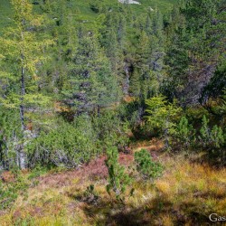 kt26_dsc_3595.jpg