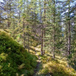 kt26_dsc_3596.jpg