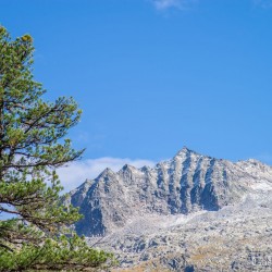 kt26_dsc_3599.jpg