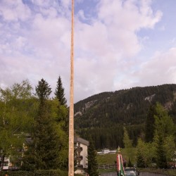 Maibaum in Badbruck