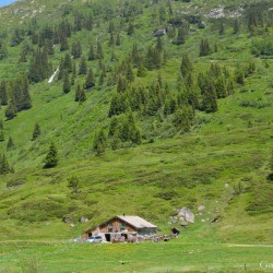 Moar Hütte Nassfeld