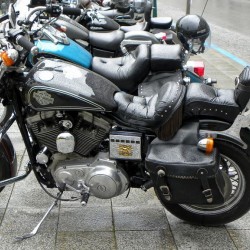 dscn3548.jpg