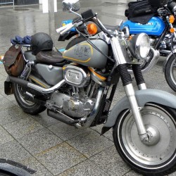 dscn3549.jpg