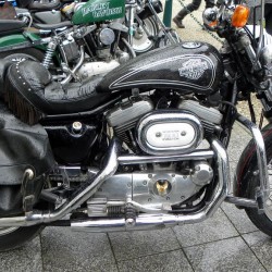 dscn3552.jpg
