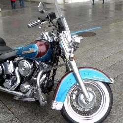 dscn3557.jpg
