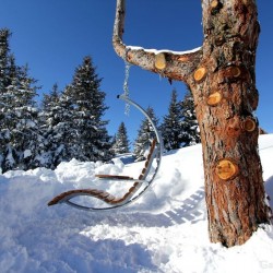 Naturplatzl Grossarltal