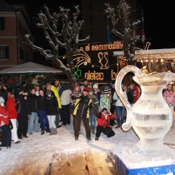 img_0392.jpg