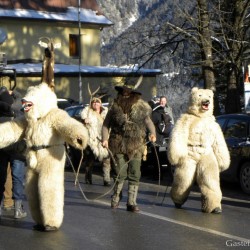 Bären mit Bärentreiber