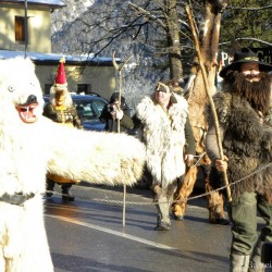 Bären mit Bärentreiber