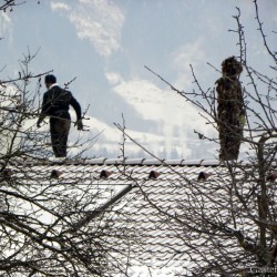 Kaminkehrer und Zapfenmandl am Dach