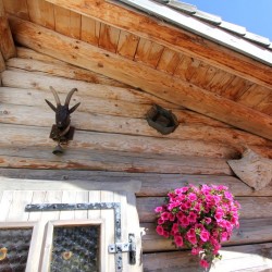 Pottingeralm