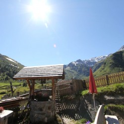 img_1477.jpg