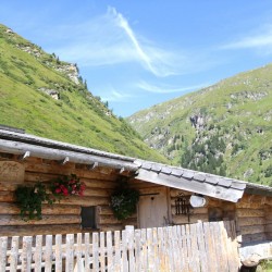 img_1507.jpg