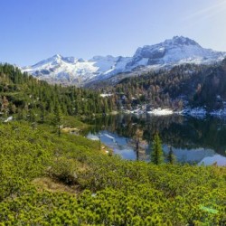 reedsee_pano.jpg