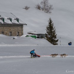 sh18_dsc_5399.jpg