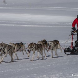 sh18_dsc_5507.jpg