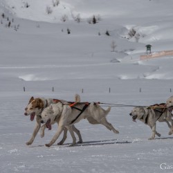 sh18_dsc_5540.jpg