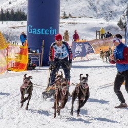 Schlittenhunderennen 2025