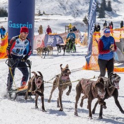Schlittenhunderennen 2025
