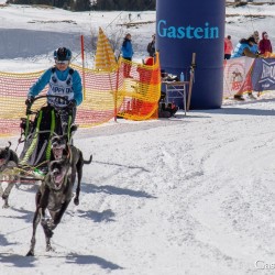 Schlittenhunderennen 2025