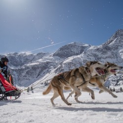 Schlittenhunderennen 2025