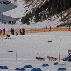 Schlittenhunderennen 2025