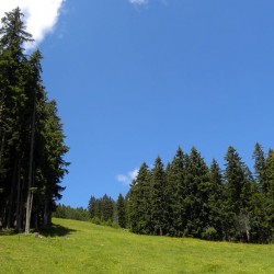 dscn5987.jpg