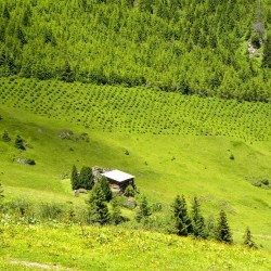 Gaberlhütte
