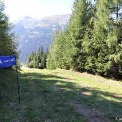 Ausgeflaggte WM Strecke