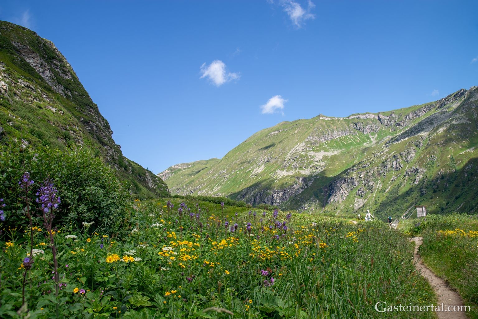 <sw26_dsc_2830.jpg