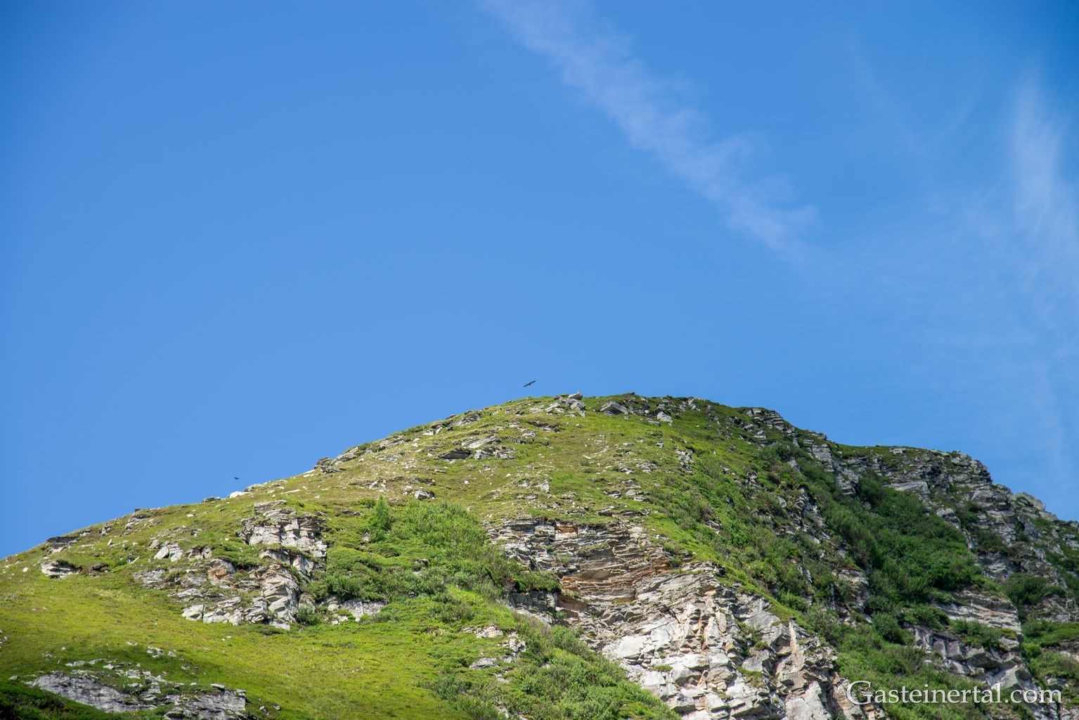 <sw26_dsc_2832.jpg