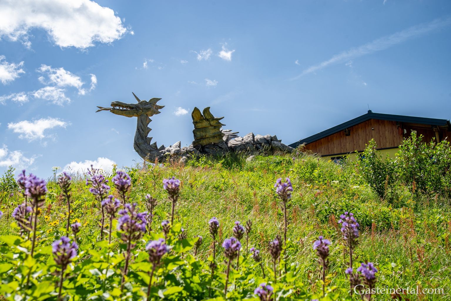 <Der Drache vom Bockhartsee