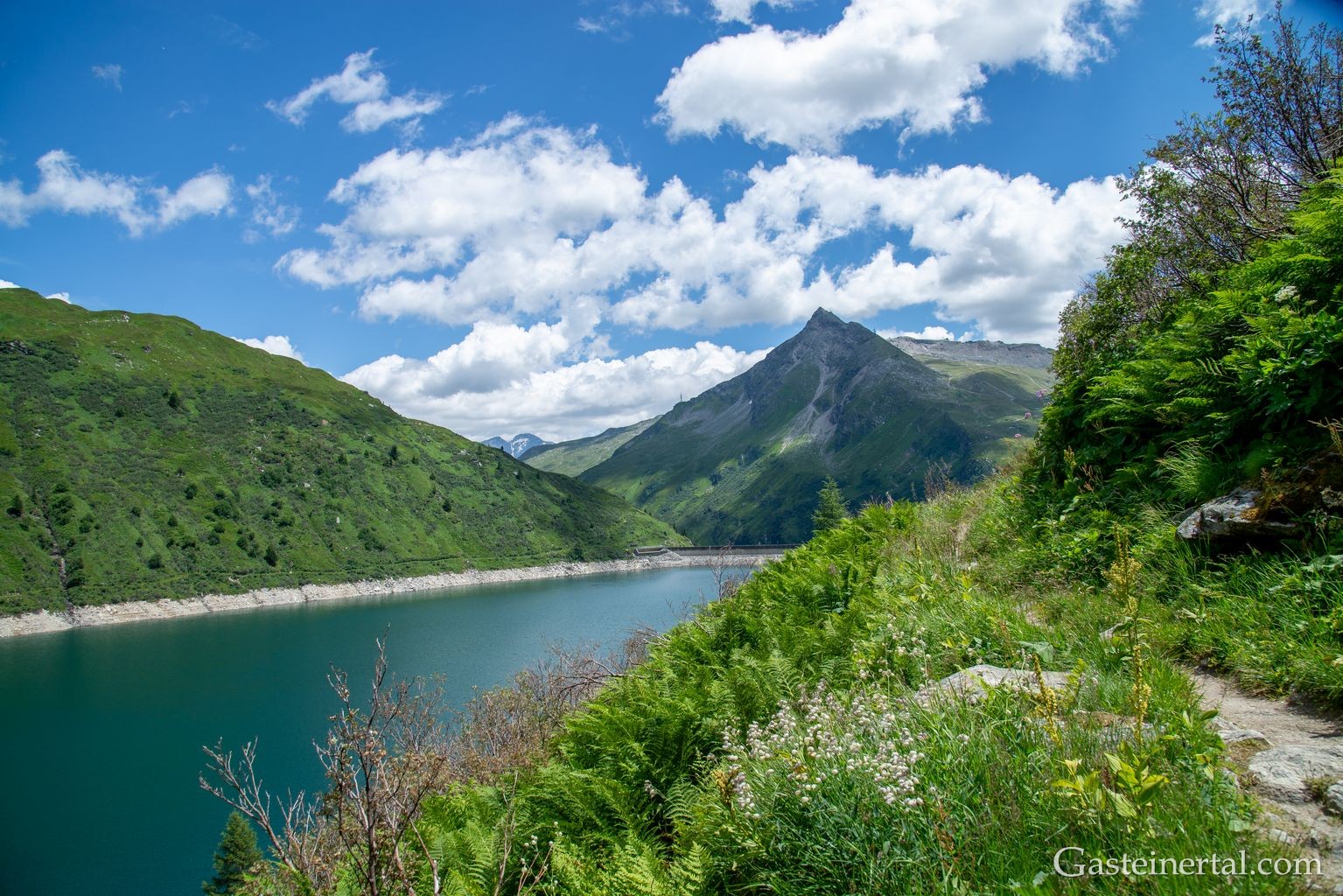 <Am Rundweg beim unteren Bockhartsee