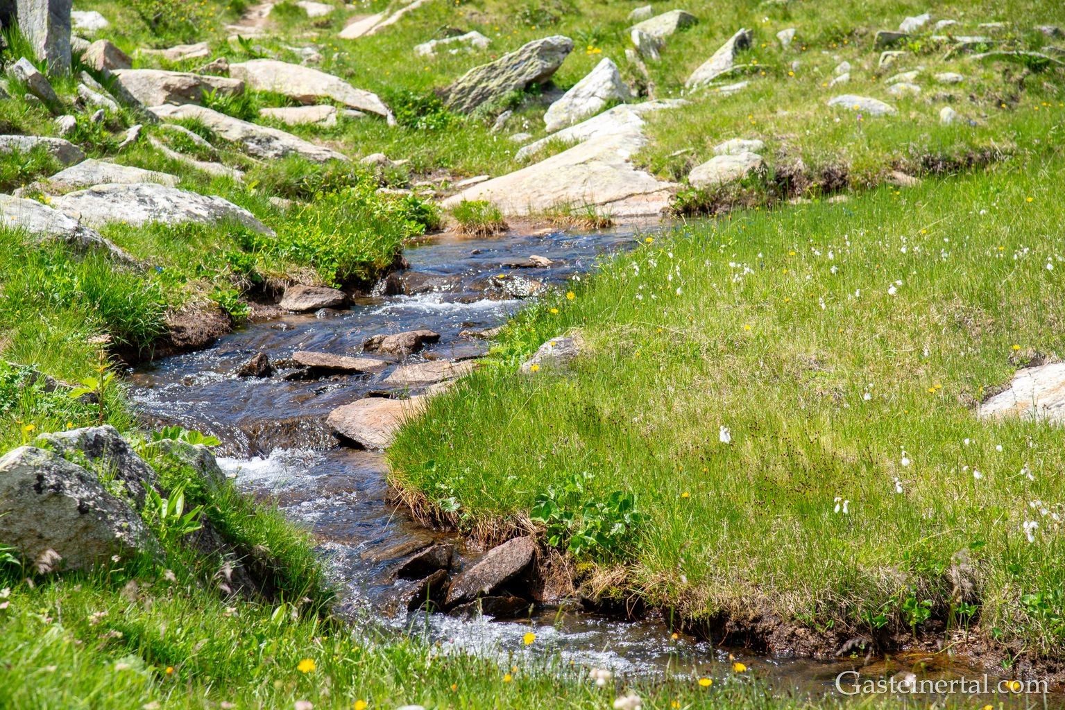 <Kristallklares Wasser am Weg vom oben zum unteren Bockhartsee