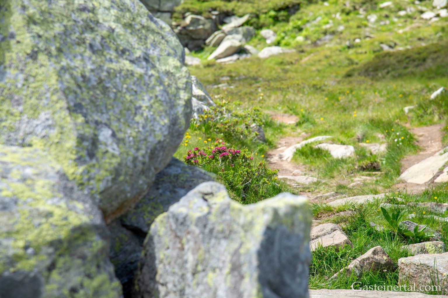 <sw26_dsc_2884.jpg