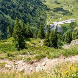 Der kurze, aber steile Weg zum Bockhartsee