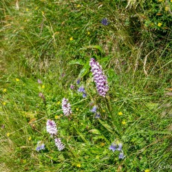 sw26_dsc_2809.jpg