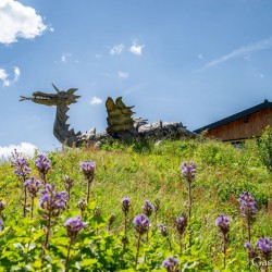 Der Drache vom Bockhartsee